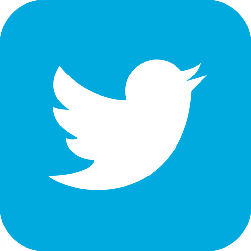 4102580 applications media social twitter icon